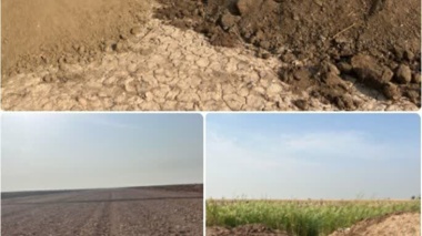 آغاز نخستین پایلوت چهار هکتاری شورورزی بخش خصوصی در استان خوزستان
