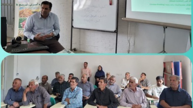 برگزاری کارگاه آموزشی مدیریت اصولی مزارع گندم در دشتکار ، گامی در مسیر افزایش  بهره وری و پایداری تولید