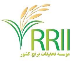 موسسه تحقیقات برنج کشور