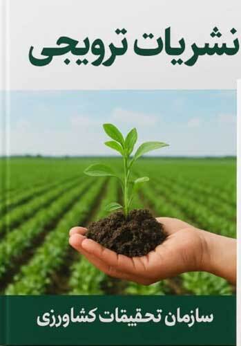 نشریات ترویجی