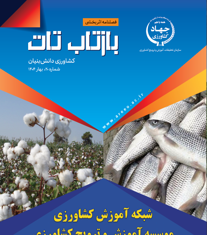 شماره ۲۰
