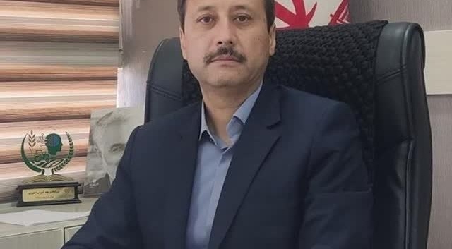 پنج رقم جدید گندم و جو به سبد ارقام ملی کشور افزوده شد