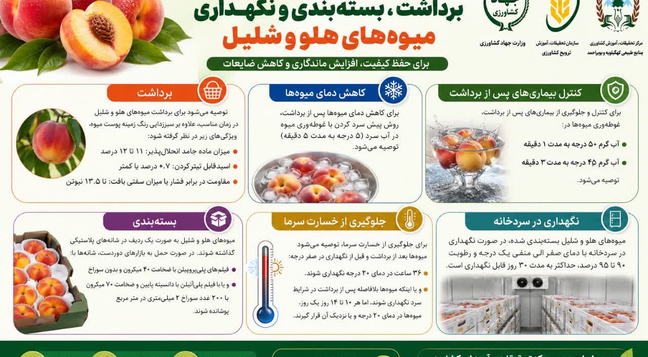 ارائه توصیه‌های فنی برای حفظ کیفیت محصولات باغی پس از برداشت