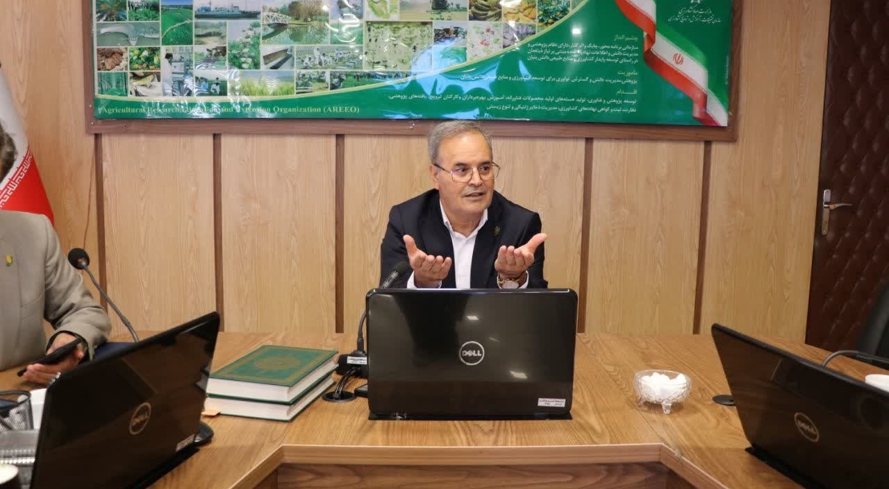 گل محمدی