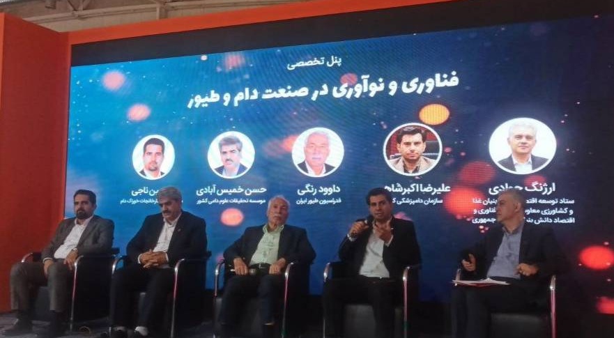 خوراک کامل بومی، راهکار کاهش هزینه و افزایش بهره‌وری دامپروری