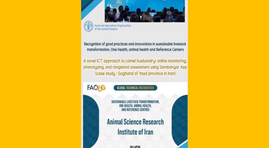 انتخاب «ساربانیار» در میان ۵۰ طرح نوآوری برتر جهانی FAO در حوزه دامپروری