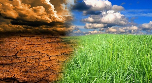 افت ۸۰ درصدی بارندگی سبب کاهش تولیدات کشاورزی می شود