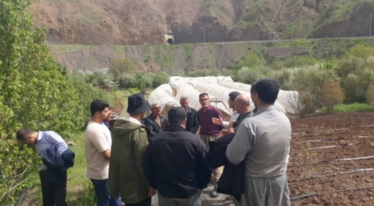 برگزاری سه دوره آموزشی در کردستان برای توانمندسازی بهره‌برداران؛ گامی در مسیر تحقق «سال آموزش و ترویج تات»