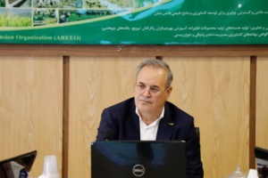 تدوین سند دانش‌بنیان و همکاری بین‌المللی برای توسعه برنج کشور