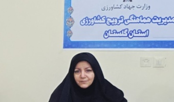 آغاز اجرای شبکه ملی مزارع الگویی کشاورزی در گلستان؛ ۹۵ مزرعه در مسیر انتقال سریع فناوری