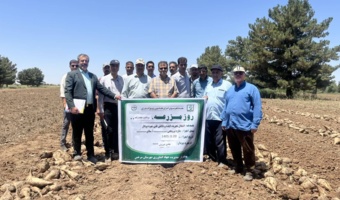 برنامه انتقال یافته های تحقیقاتی در روز مزرعه چغندر قند پاییزه موضوع برداشت چغندر قند در شهرستان سرخس