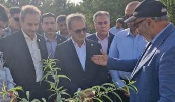 بازدید میدانی دکتر غلامرضا گل‌محمدی، معاون وزیر جهاد کشاورزی و رئیس سازمان تحقیقات، آموزش و ترویج کشاورزی (تات)، از ایستگاه تحقیقات باغبانی کمال‌شهر