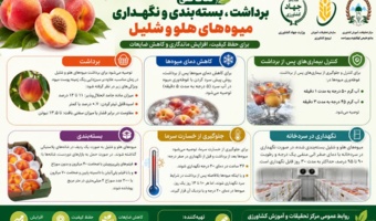ارائه توصیه‌های فنی برای حفظ کیفیت محصولات باغی پس از برداشت
