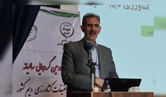 افزایش عملکرد محصولات دیم کشور با وجود کاهش بارندگی؛ معرفی ۱۰ رقم جدید به سبد زراعی تا پایان سال