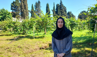 عضو هیأت علمی پژوهشکده مرکبات و میوه‌های نیمه‌گرمسیری از نتایج یک پژوهش کاربردی خبر داد؛
