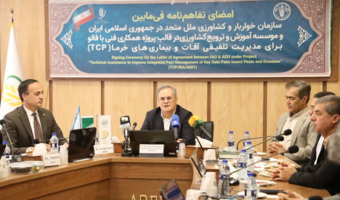 استفاده از هوش مصنوعی و تشخیص زودهنگام برای مدیریت آفات خرما