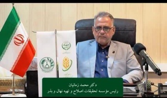 زمانیان: تجاری‌سازی ارقام جدید، گامی مؤثر در ارتقای بهره‌وری کشاورزی است