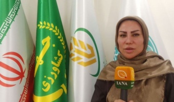 معرفی زنان توانمند روستایی باید به تقویت نقش اقتصادی آن‌ها منجر شود