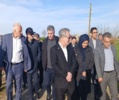 پیشرفت‌های محوری در کشاورزی دانش‌بنیان: از تولید ارقام نوین تا ساماندهی زیرساخت‌های پژوهشی