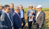 گزارش تصویری/بازدید از ایستگاه تحقیقات کشاورزی مغان، در جریان بیست و یکمین سفر استانی معاون وزیر جهاد کشاورزی و رئیس سازمان تات