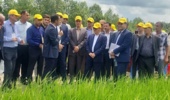 روز ملی برنج؛ همافزایی پژوهش، سیاستگذاری و تولید برای جهش بهرهوری و کاهش وابستگی به واردات