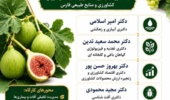 سخنرانی محقق اقتصاد کشاورزی در تیم مدرسین کارگاه آموزشی در مرکز جهاد شهرستان فیروزآباد فارس