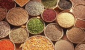 موسسه تحقیقات ثبت و گواهی بذر و نهال