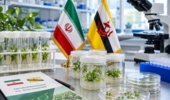 بیوتکنولوژی کشاورزی؛ اولویت نخست همکاری ایران و برونئی