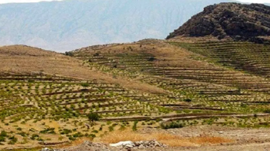 الگوی دیم‌کاری علمی در رضویه مشهد اجرا می‌شود؛ آغاز مسیر ارتقای بهره‌وری اراضی کم‌بارش با مدیریت نوین آب و خاک
