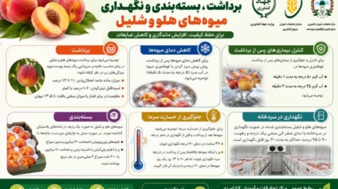 ارائه توصیه‌های فنی برای حفظ کیفیت محصولات باغی پس از برداشت