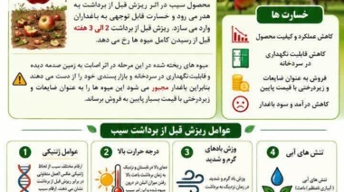 ارائه راهکارهای علمی برای کاهش خسارت‌های باغی