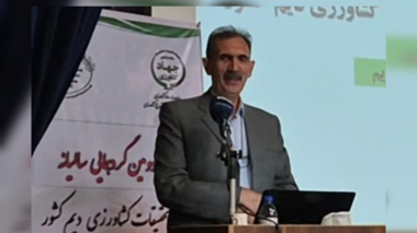 افزایش عملکرد محصولات دیم کشور با وجود کاهش بارندگی؛ معرفی ۱۰ رقم جدید به سبد زراعی تا پایان سال