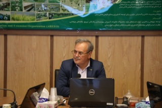 برگزاری جلسه بررسی سیاستگذاری همکاری با کشور چین در سازمان تات