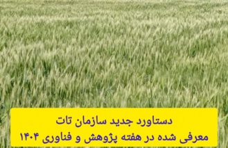 جهش ۱۰۰ درصدی عملکرد گندم دیم با مصرف بهینه کود اوره