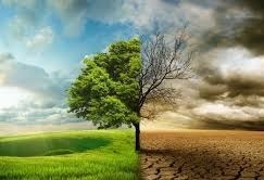 تغییر زمان برگزاری همایش تغییر اقلیم به دلیل مصوبه کمیته اضطرار آلودگی هوا