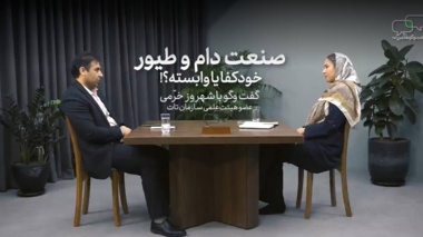 آیا صنعت دام و طیور ایران در شرایط فعلی اقتصادی است؟