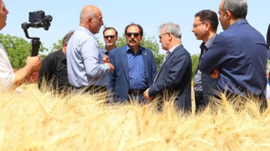 بازدید معاون وزیر جهاد کشاورزی از ظرفیت‌های پژوهشی، فناورانه و تولیدی مرکز تحقیقات و آموزش کشاورزی و منابع طبیعی استان قزوین