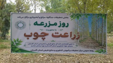 مرکز تحقیقات گلستان مسیر توسعه زراعت چوب را هموار کرد؛ پیشنهاد تشکیل کارگروه مشترک برای مکان‌یابی و سرمایه‌گذاری
