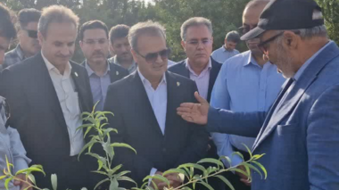 بازدید میدانی دکتر غلامرضا گل‌محمدی، معاون وزیر جهاد کشاورزی و رئیس سازمان تحقیقات، آموزش و ترویج کشاورزی (تات)، از ایستگاه تحقیقات باغبانی کمال‌شهر
