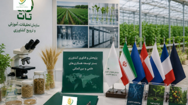 از دیپلماسی تا آزمایشگاه؛ رایزنان اقتصادی وزارت امور خارجه میهمان سازمان تات می‌شوند