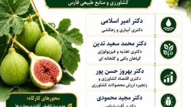 سخنرانی محقق اقتصاد کشاورزی در تیم مدرسین کارگاه آموزشی در مرکز جهاد شهرستان فیروزآباد فارس