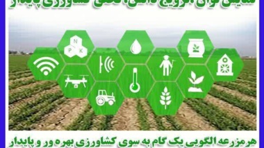 برگزاری همایش آموزشی ـ ترویجی با موضوع :  پیاده سازی طرح شبکه ملی مزارع الگویی   ( آغاز سال زراعی 1406-1405)