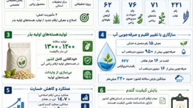 معرفی ظرفیت‌ها و دستاوردهای پژوهشی مؤسسه تحقیقات اصلاح و تهیه نهال و بذر