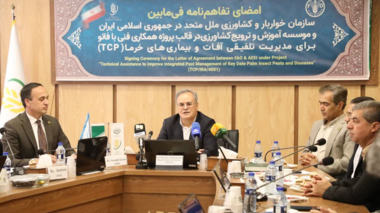 استفاده از هوش مصنوعی و تشخیص زودهنگام برای مدیریت آفات خرما