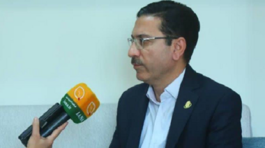 آزمایش روش تزریق برای درمان نخل‌های آلوده به سرخرطومی حنایی خرما