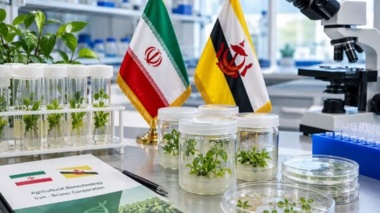 بیوتکنولوژی کشاورزی؛ اولویت نخست همکاری ایران و برونئی